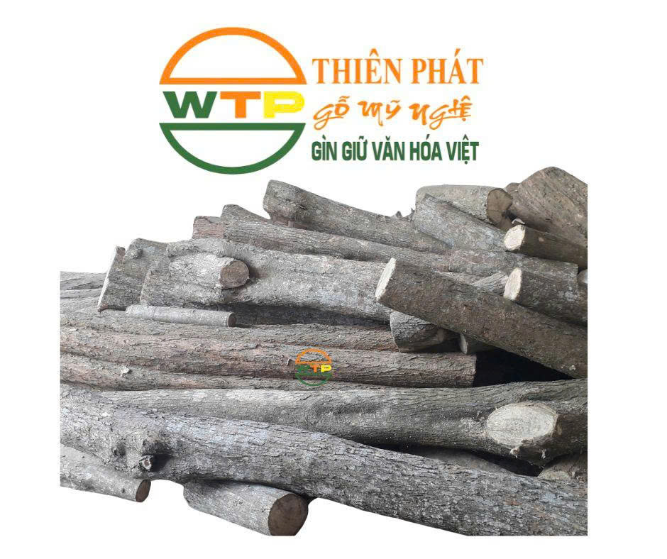 Gỗ lồng mức tròn nguyên khối có số lượng lớn tại Thiên Phát